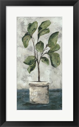 Framed Fiddle Leaf Fig Print