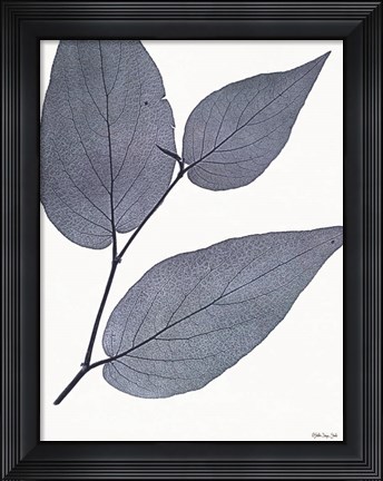 Framed Indigo Nature Study II Print