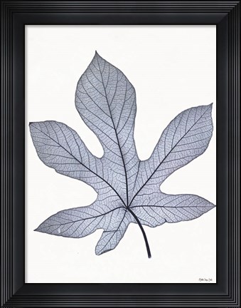 Framed Indigo Nature Study III Print