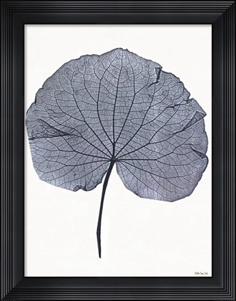 Framed Indigo Nature Study IV Print