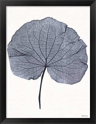 Framed Indigo Nature Study IV Print