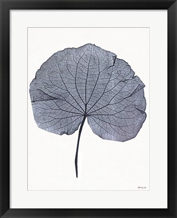 Framed Indigo Nature Study IV Print