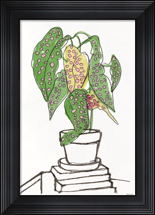 Framed House Plant Study II Print
