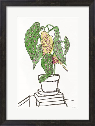 Framed House Plant Study II Print