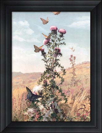 Framed Meadow Butterflies Print