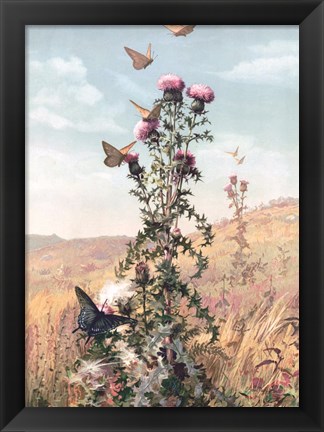 Framed Meadow Butterflies Print