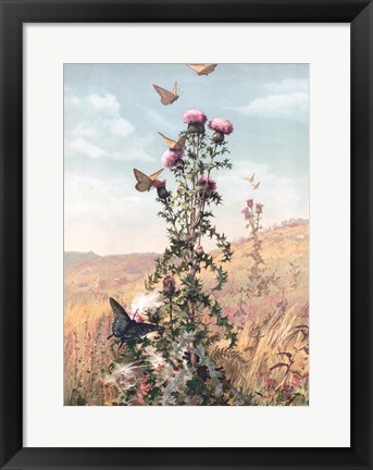 Framed Meadow Butterflies Print