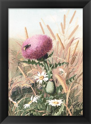 Framed Meadow Flowers 1 Print