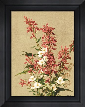 Framed Meadow Flowers 2 Print