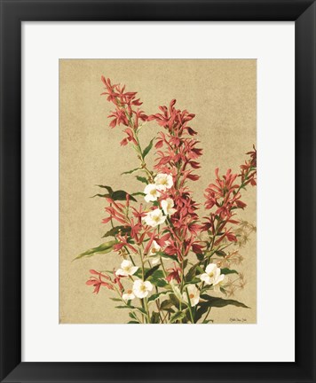 Framed Meadow Flowers 2 Print