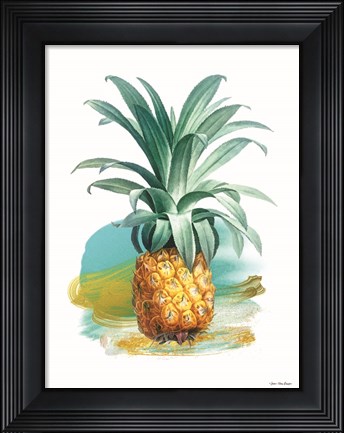 Framed Pineapple II Print