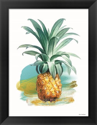 Framed Pineapple II Print