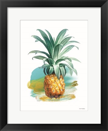 Framed Pineapple II Print