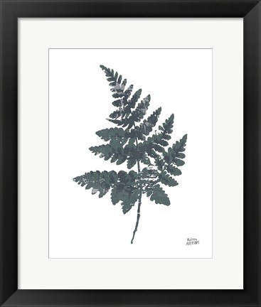 Framed Fern II Print