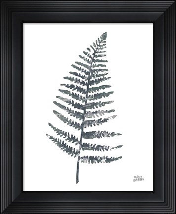 Framed Fern I Print