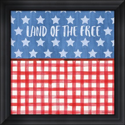 Framed Americana Style VI Print