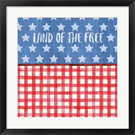 Framed Americana Style VI Print