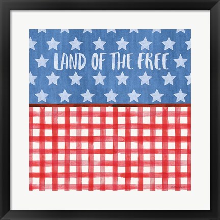 Framed Americana Style VI Print