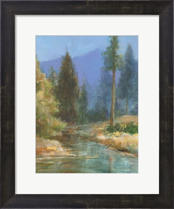 Framed Western Pines Print