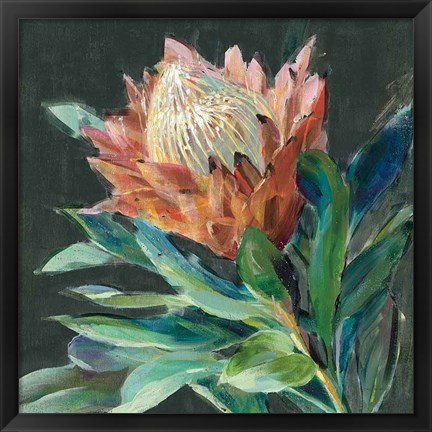 Framed Deep Protea Crop Print