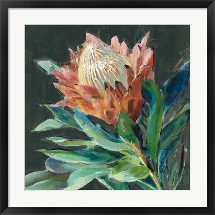 Framed Deep Protea Crop Print