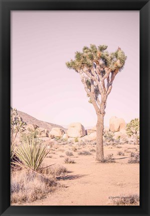 Framed Joshua Tree III Blush Print