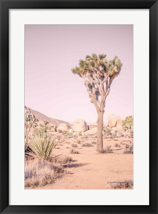 Framed Joshua Tree III Blush Print