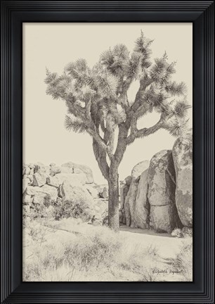 Framed Joshua Tree IV Neutral Print