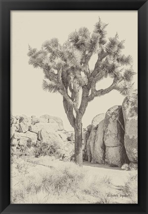 Framed Joshua Tree IV Neutral Print