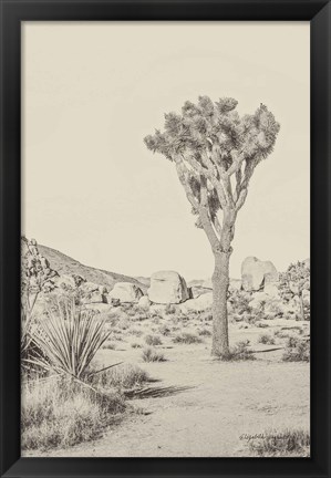 Framed Joshua Tree III Neutral Print