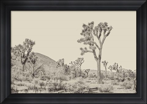 Framed Joshua Tree II Neutral Print