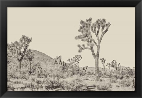 Framed Joshua Tree II Neutral Print