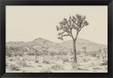 Framed Joshua Tree I Neutral Print