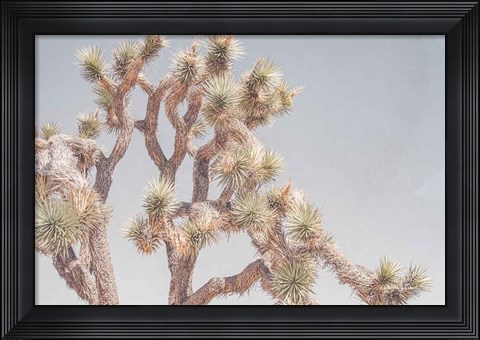 Framed Desert Floral I Print