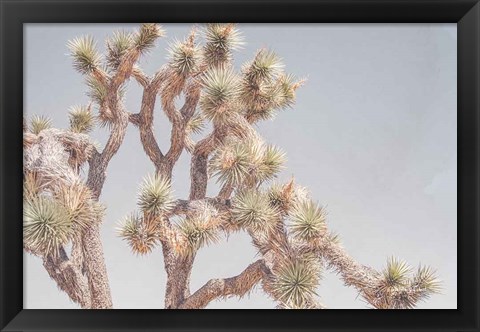 Framed Desert Floral I Print