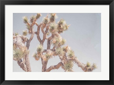 Framed Desert Floral I Print