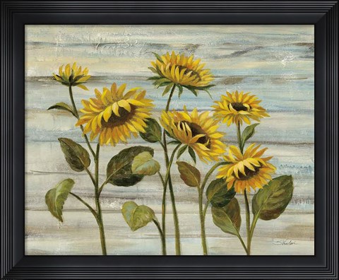 Framed Cottage Sunflowers Print