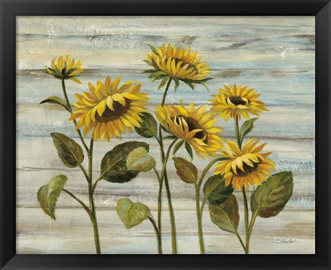 Framed Cottage Sunflowers Print