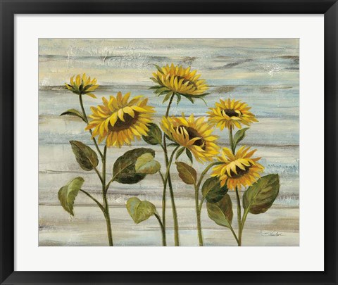 Framed Cottage Sunflowers Print