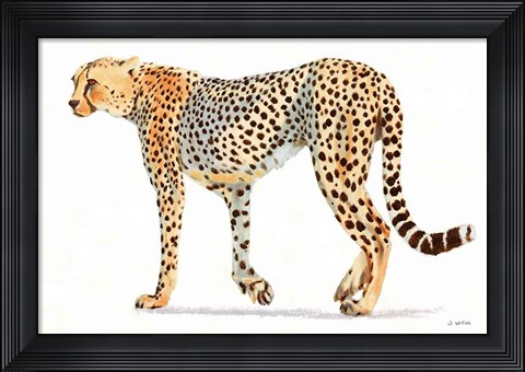 Framed Wild and Free VII Bold Print