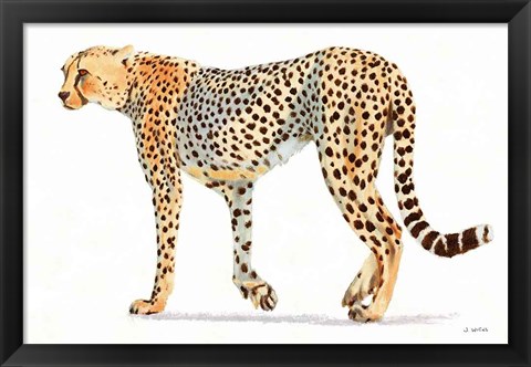 Framed Wild and Free VII Bold Print