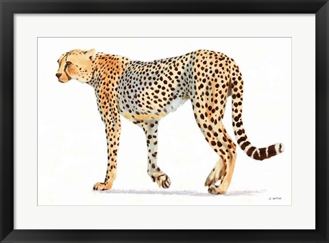 Framed Wild and Free VII Bold Print