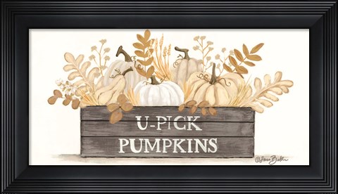 Framed U-Pick Pumpkins Print