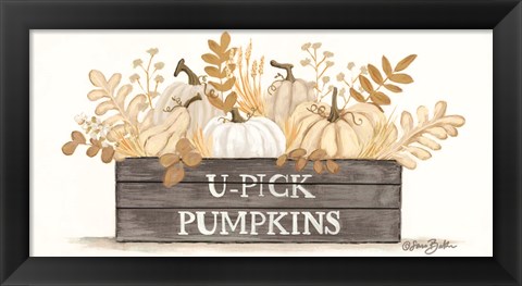 Framed U-Pick Pumpkins Print