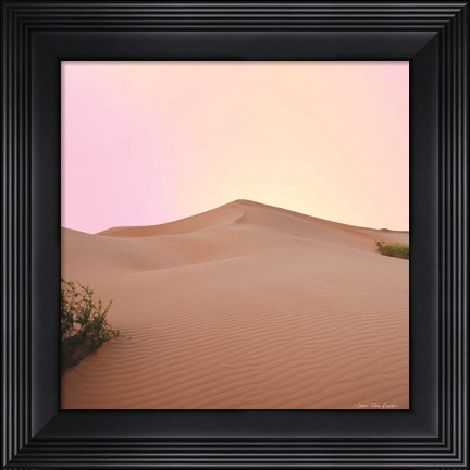 Framed Calm Dune Print