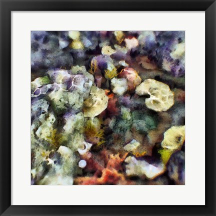 Framed Sea Life II Print