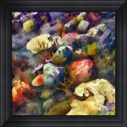 Framed Sea Life III Print
