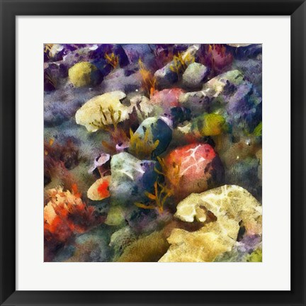 Framed Sea Life III Print