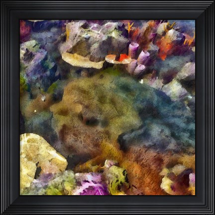 Framed Sea Life IV Print