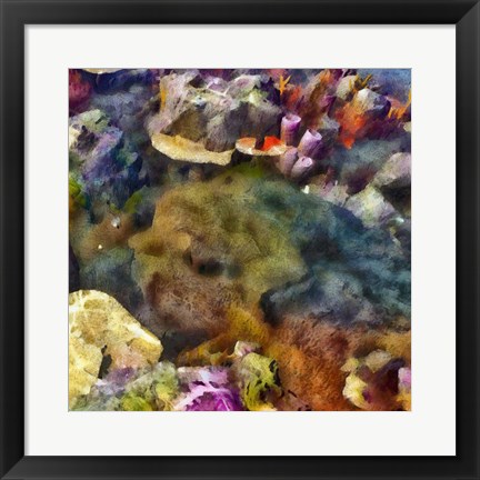 Framed Sea Life IV Print